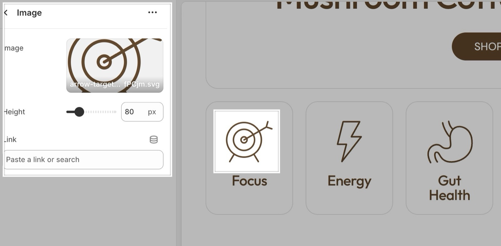 Image block panel with an icon image, Height 80 px and Link, beside a row of icon cards (Focus, Energy, Gut Health).