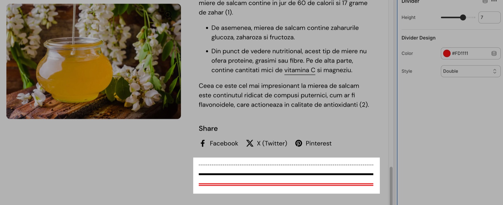Product page with three Divider blocks highlighted (dashed, solid black, double red), next to the Divider block settings: Height 7, Divider Design → Color #FD1111 and Style Double.